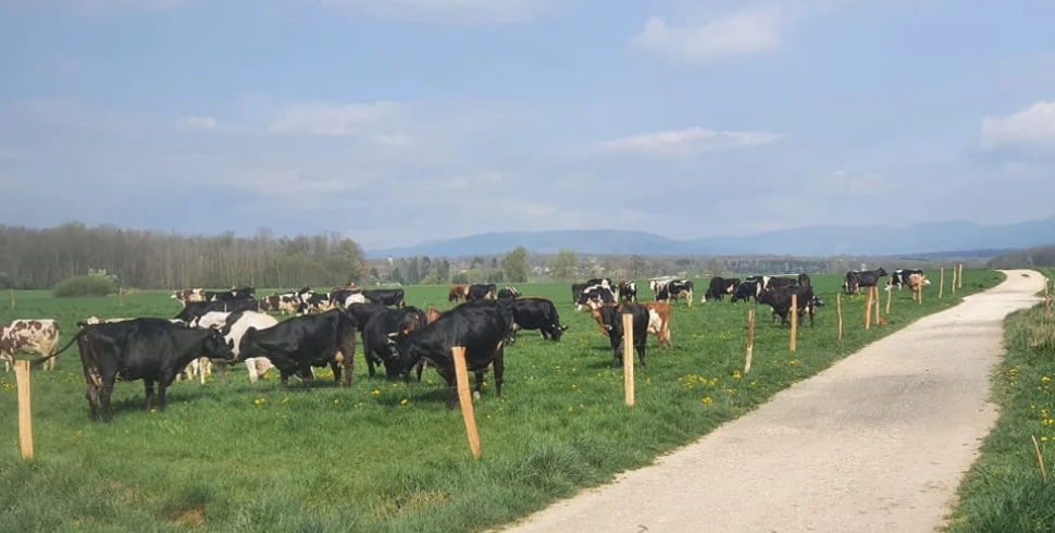 Ferme du Roetling