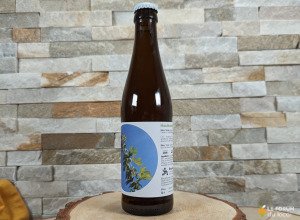 Bière artisanale blonde 