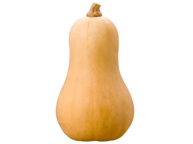 Courge butternut bio - Pièce