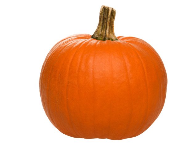 Citrouille Jack-O'-Lantern ~ 5 kg