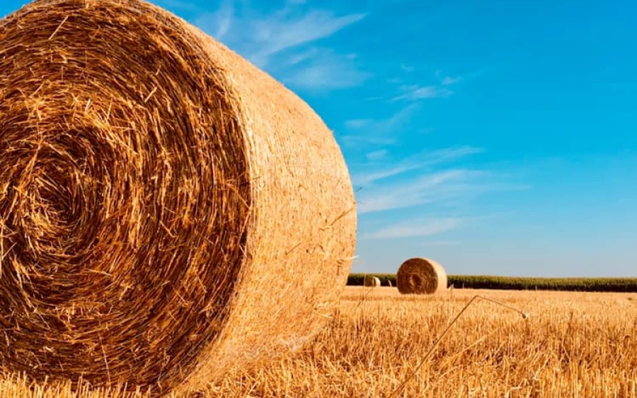 La Cabane à farine