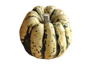 Courge Patidou bio - Pièce