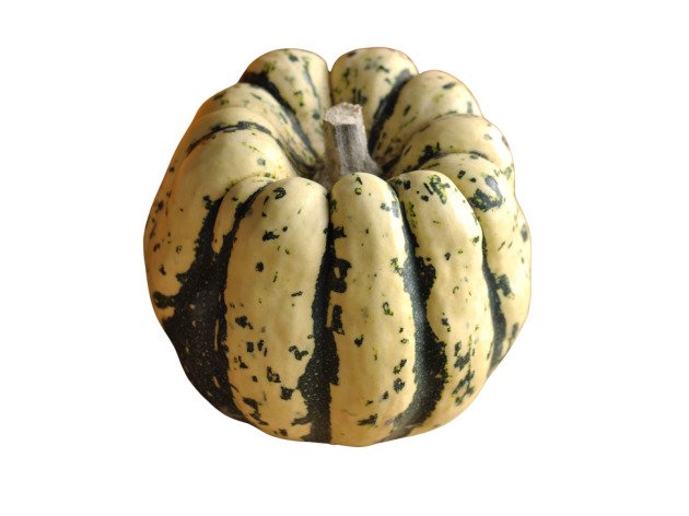 Courge Patidou bio - Pièce