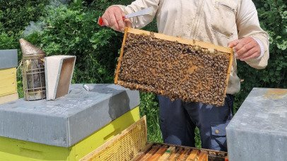 Préparez-vous pour l'Hiver avec les trésors du Rucher : le miel, votre allié contre le froid