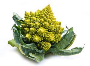 Chou romanesco bio - Pièce