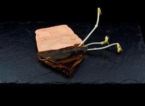 Foie gras d'oie entier mi-cuit - Lingot ou Tranche