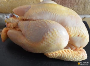 Poulet fermier prêt à cuire bio - 4/6 personnes