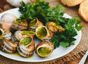 Escargot - douzaine de coquille à la bourguignonne