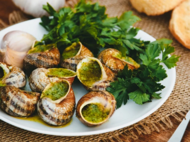 Escargot - douzaine de coquille à la bourguignonne